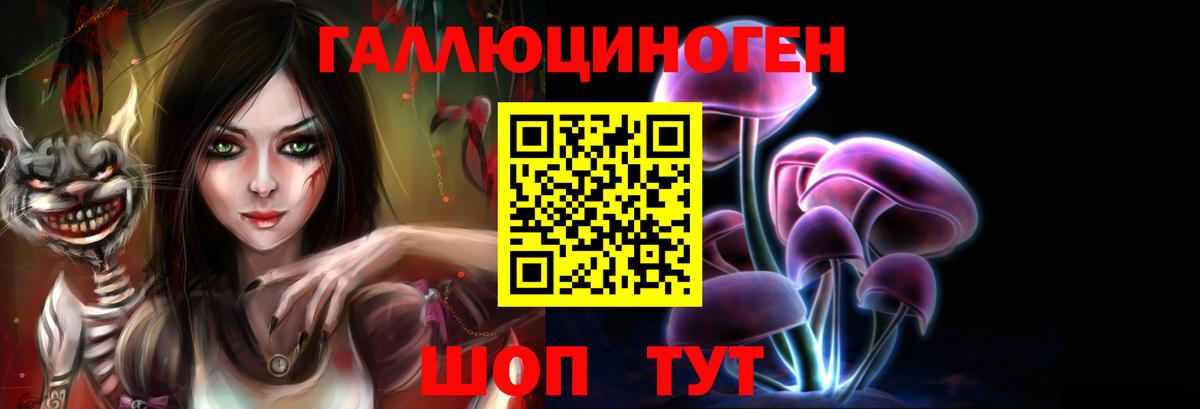 Псилоцибиновые грибы Cubensis  купить закладку  Медногорск  Вход с VPN 