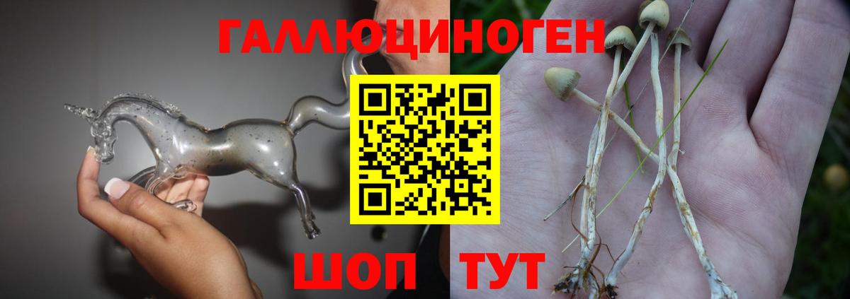 Галлюциногенные грибы GOLDEN TEACHER Медногорск